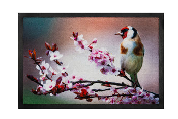 40x60 deurmat bird hamat