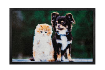 40x60 deurmat dog & cat hamat