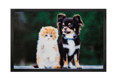 40x60 deurmat dog & cat hamat