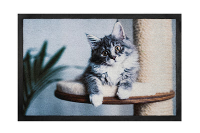 40x60 deurmat grey cat hamat