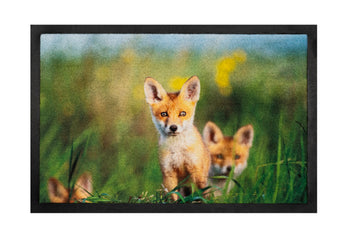 40x60 deurmat foxes hamat