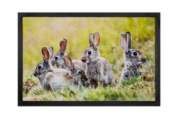 40x60 deurmat rabbits hamat