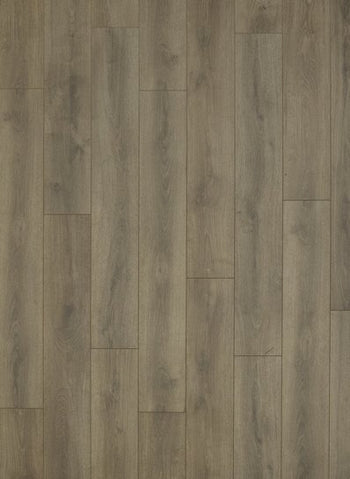 Coyote 3903 Sommer Eiche Natur