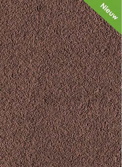 1270x400 Ecotouch SDN 466 Rarbarber