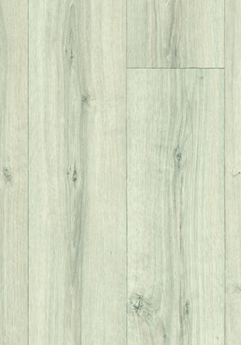 3285 x 400 Rapido 191