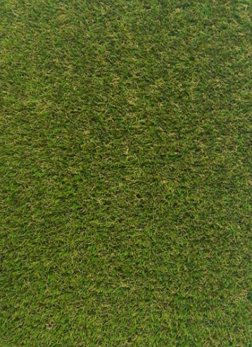 Galapagos €37,95/m²