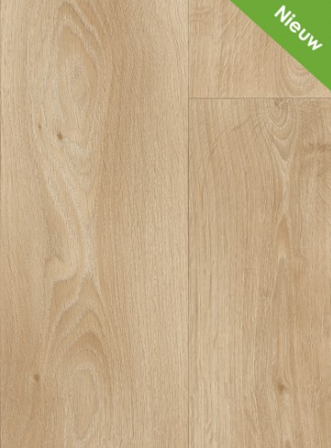 3000x400 vinyl Gelasta Rapido 5640