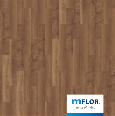 Broad Leaf Dark Sycamore 41813