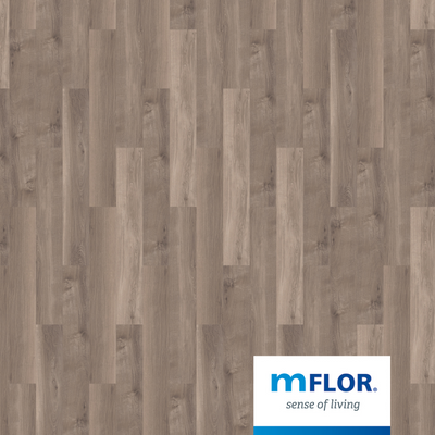 Broad Leaf Smoky Sycamore 41817