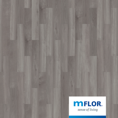 Broad Leaf Grey Sycamore 41828