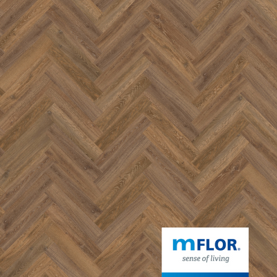 Authentic parva oak XL Liguria 46416