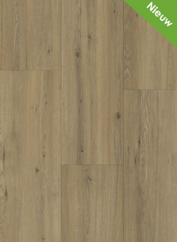 121,2 m2 laminaat Maestro 80631