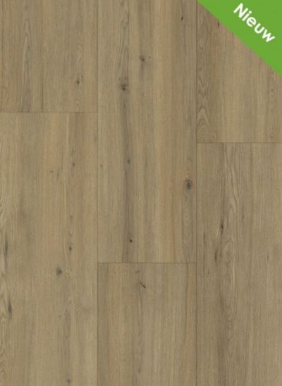 121,2 m2 laminaat Maestro 80631