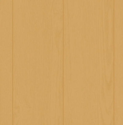 500x400 vinyl endless beauty geel C53/3