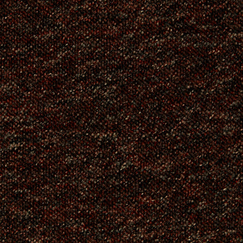 495x400 Gelasta Spectrum new 38
