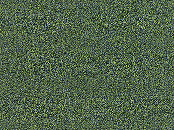 500x400 Tapijt Gelasta Xpore 22