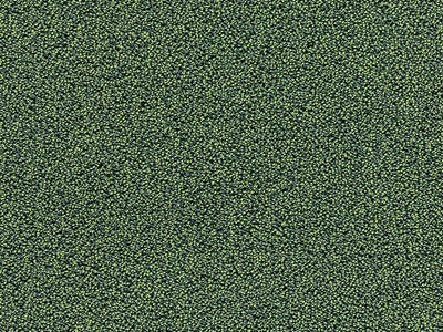 500x400 Tapijt Gelasta Xpore 22