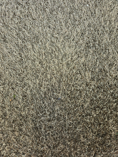 182x277 hoogpolig tapijt